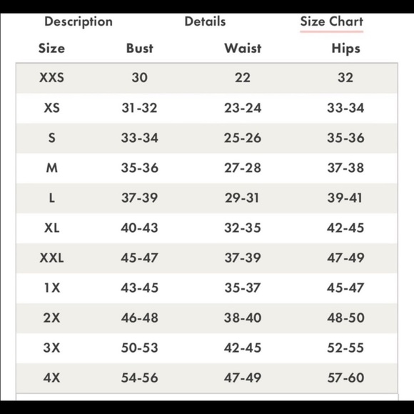 ❌Sold❌ Insect Print Collared Dress - Picture 4 of 5